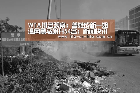 WTA排名观察:普娃成新一姐 温网黑马飙升54名:新闻快讯(图2) 新闻快讯