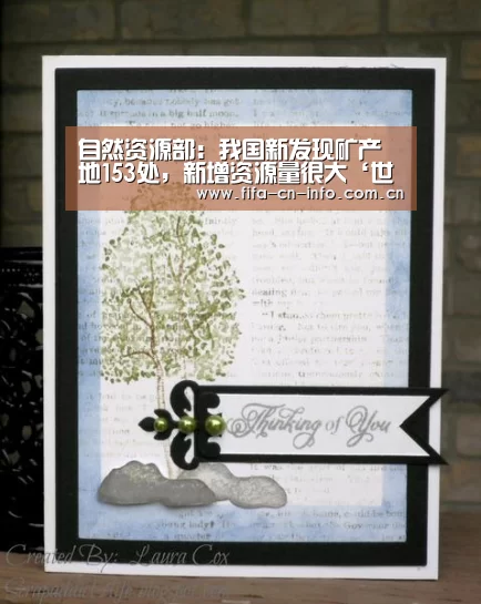 自然资源部:我国新发现矿产地153处,新增资源量很大‘世界杯资讯’(图4) 球队资料