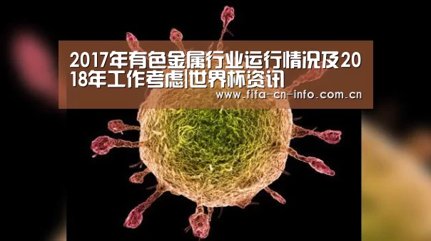 2017年有色金属行业运行情况及2018年工作考虑|世界杯资讯(图1) 球队资料