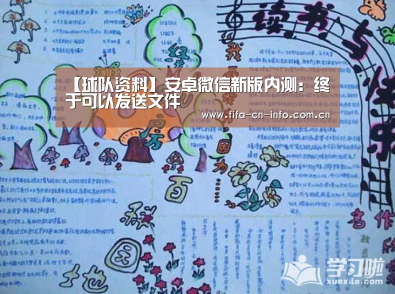 球队资料