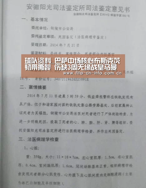球队资料