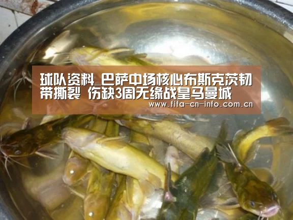 赛程时间