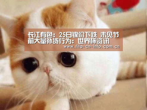 世界杯资讯