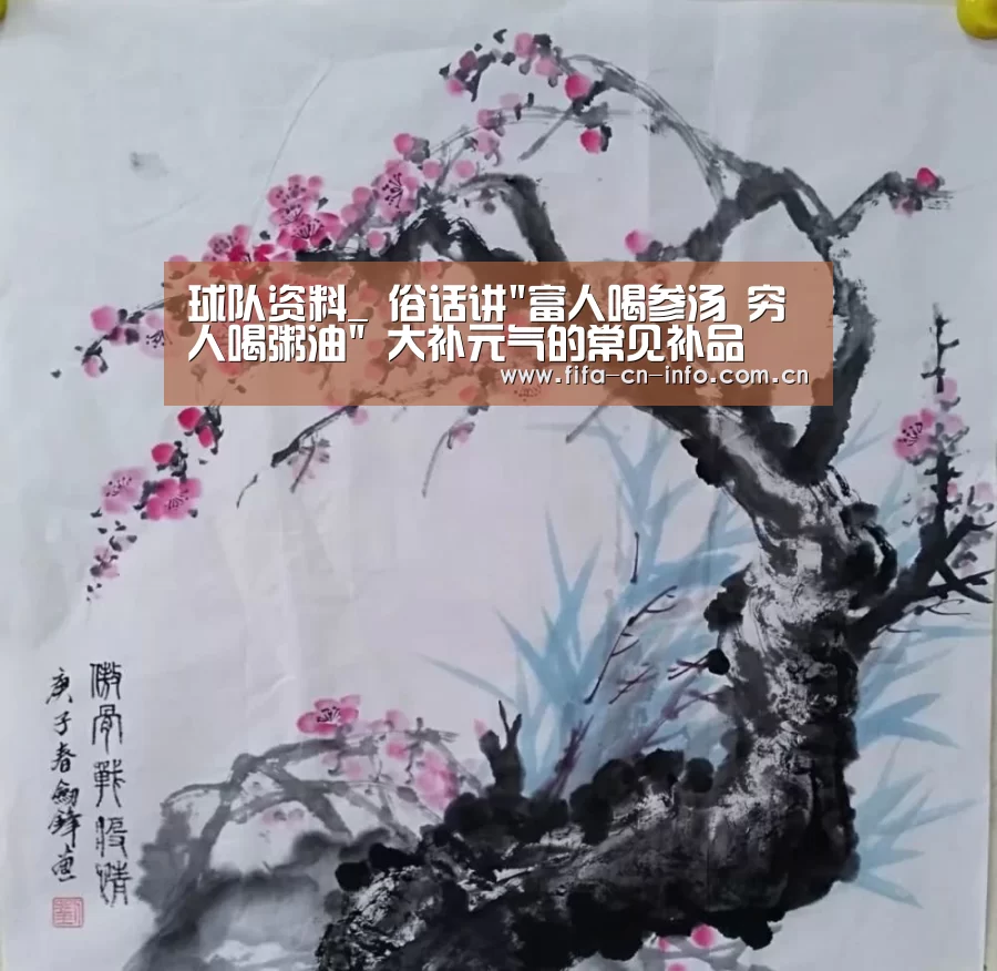 世界杯资讯